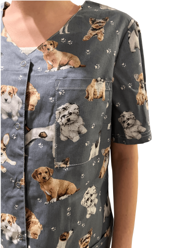 pieski na szarym tle 4.png